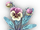 Exploding Pansy icon.png