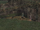 Sky Stage Edit.png