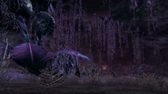 XCX Exploration 20
