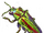 Cetecegem Beetle icon.png