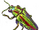 Cetecegem Beetle icon.png