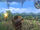 Contemplation terrace-day.jpg