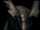 Sen'luarb