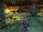 Junks-rear.jpg