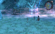 Barren moor(3)