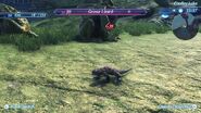GravurLizard