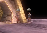 Junks shops in Bionis Interior