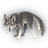 Gibney Jackal icon.png