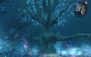 Crown tree