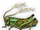 Stretching Locust