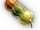 Beagflea Squash icon.png