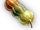 Beagflea Squash icon.png