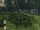 Cropwoodsofyorn.jpg
