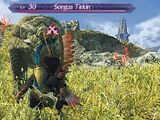 Sorgus Tirkin