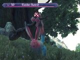 Ravine Bunnit
