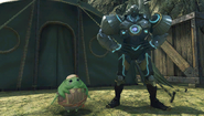 Fusion coaching