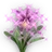 Shia Cattleya icon.png