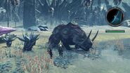 Stray Potamus
