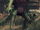 Flash Scout