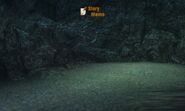 Forgotten Cave Lair