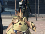 Tora (XCX)