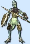Shield Igna