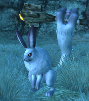 Ether Bunnia