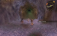 The Upper Trachea in Xenoblade Chronicles