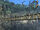 Repaired bridge four(2).jpg