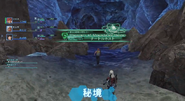 Turtle Nest discovery