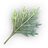 Bude Mugwort icon.png