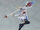Melia figure 02.jpg