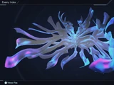 Void