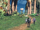 Chapter 6 (15).png