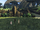 Connecting Bridge (XC1)