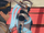 AegaeonNiall.png