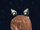 Armet 3-F.png