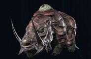 Rodriguez, the Twin-Tusked