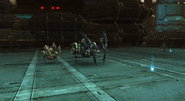 Beautiful Vagul