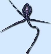 A Jelly Selua