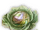 Mosa Cabbage icon.png