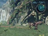 Coil Tree Cape