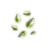 Yaya Sesame icon.png