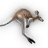 Doragaroo icon.png