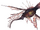 Levitath C.png