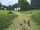 Navvir Crossroads