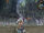 Clear waterfall.jpg