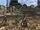 Colony 6 reconstruction.jpg
