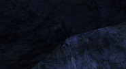 Shadeless Matrix 2