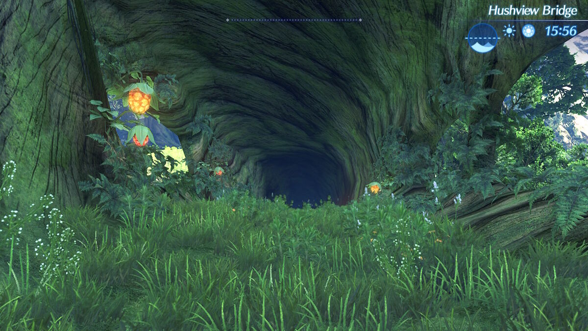 the FIELD OF VIEW/FINAL LIVE「Live Horiz… Hushview Bridge | Xenoblade Wiki | Fandom